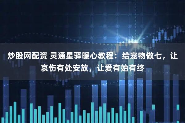 炒股网配资 灵通星驿暖心教程：给宠物做七，让哀伤有处安放，让爱有始有终