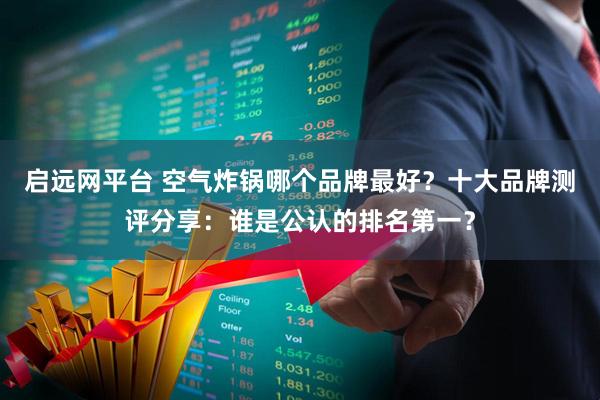 启远网平台 空气炸锅哪个品牌最好？十大品牌测评分享：谁是公认的排名第一？